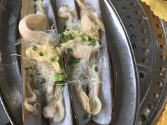 爱尔兰圣子皇-蚝专家(北滘店)