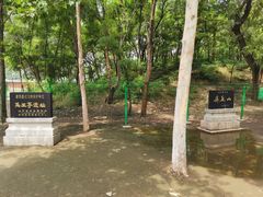 -禹城市禹王亭博物馆