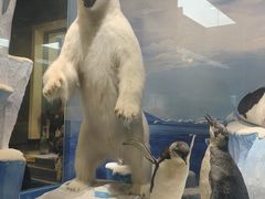 -国家自然博物馆