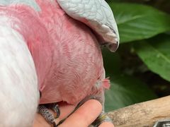 -南宫五洲植物乐园