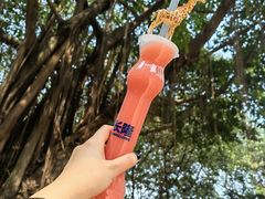 -广州长隆野生动物世界