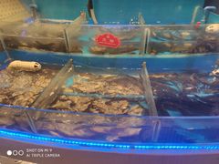 水产区-千家粗粮王(MOMOPARK店)