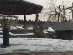 -龙达温泉生态城