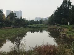 -重庆彩云湖湿地公园