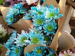 -三圣花乡旅游区