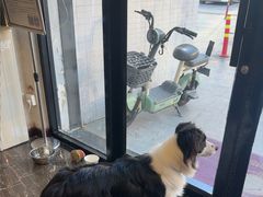 -宠爱国际动物医院·疑难骨科·心肾内科·皮肤科(太阳宫店)