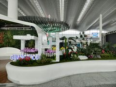 -广州白云国际机场-T2航站楼
