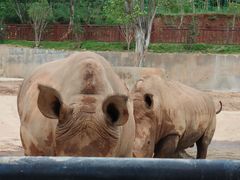 -泉州海丝野生动物世界