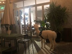 -AO cafe＆bistro