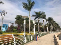 景点-白鹭洲公园