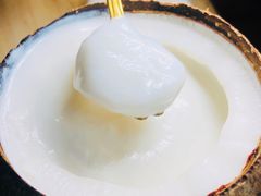 特浓椰子冻-椰爺爺·椰子冻砵仔糕