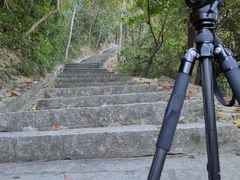 -火炉山森林公园