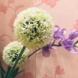 -本真坊美容美体沙龙