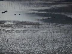 -北岐滩涂
