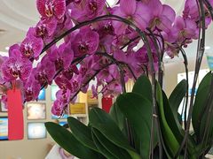 -深圳尔睦丽沙口腔门诊部(丽沙花都店)