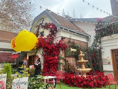 -弗兰克牛排西餐厅Ribone steak house(柠檬花园店)