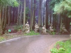 -武陵山森林公园