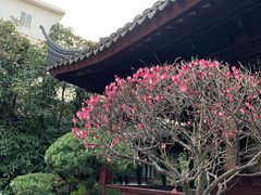 -复旦大学附属华山医院(总院)