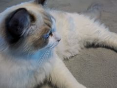 -零纪元VR体验馆·桌游(黄浦店)