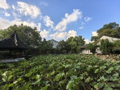 -上海醉白池公园