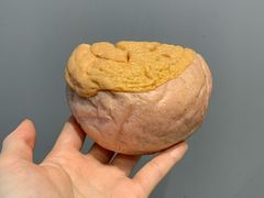 -奈雪的茶(中海环宇荟店)