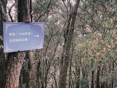 -滴水岩森林公园