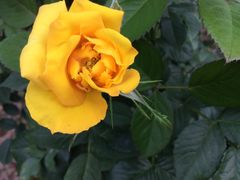 -人民公园(罗湖区)