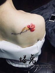 -天道tattoo纹身穿孔工作室