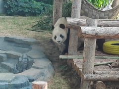 -大连森林动物园