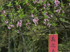 -穹窿山景区