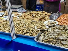 -中国农业博物馆