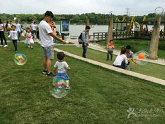 -昆山城市生态森林公园