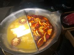 台式麻辣花胶鸡鸳鸯锅-湊湊火锅·茶憩(世博大道店)