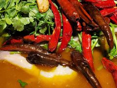 -清水亭湖北菜(大屯DT51店)