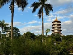 -厦门市图书馆(集美新城馆区)