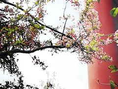 -黔灵山公园