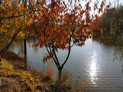 -翠湖国家城市湿地公园
