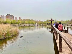 -前关湿地公园
