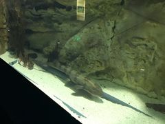 -苏州海洋馆