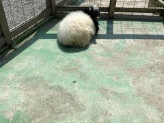 -前小桔亲子创意农场·草莓采摘·露营烧烤