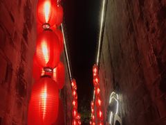 -大龙燚火锅(春熙店)