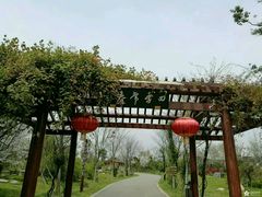 -鹅湖玫瑰文化园