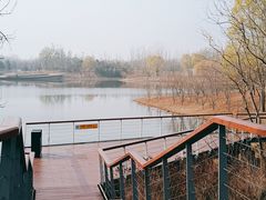 -东郊湿地公园