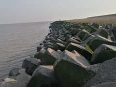 -南汇嘴观海公园