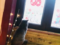 -Rabbit Cafe私房西餐甜点咖啡(栖霞路店)