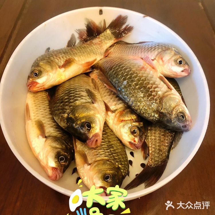 鲜到爆了,太好吃 铁皮石斛鸡汤炖一锅