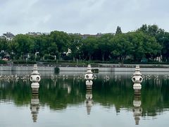 -葛仙湖公园