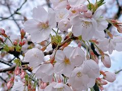 -龙美术馆(西岸馆)