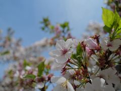 -幕燕滨江·长江观音景区