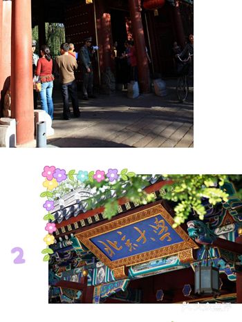 “一个人一个专业”，是一种什么样的体验？?
